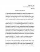 Ensayo Annie Leibovitza