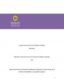 Ensayo sobre Equidad de Genero