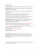 Las hormonas sexuales