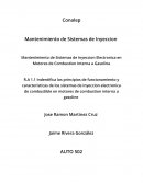Gestión electrónica en sistemas de inyección de combustible