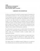 Caminando con cavernícolas- reporte