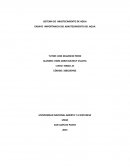 Trabajo colaborativo