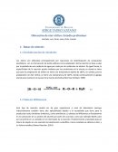 Estado del arte