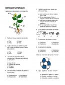 CIENCIAS NATURALES OBSERVA LA SIGUIENTE ILUSTRACIÓN