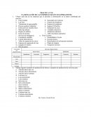 PRACTICA Nº 01 CLASIFICACIÓN DE LAS EMPRESAS SEGÚN SUS OPERACIONES