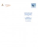 Como redactar un texto