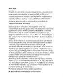 REPORTE Estudios de mercado