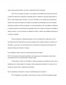 ¿Qué es para usted mercadeo y por qué es importante para las empresas?