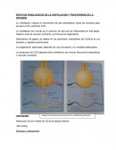 EFECTOS FISIOLOGICOS DE LA VENTILACION Y TRASTORNOS DE LA DIFUSION