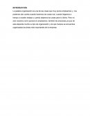 Organización en el proceso administrativo