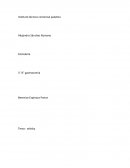 Whisky. ¿ Que es el whisky para algunas personas?