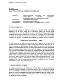 Recurso de apelacion