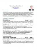 Elemplo curriculum vitae