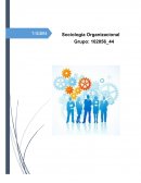 Sociología Organizacional