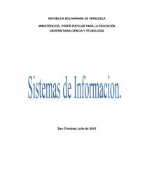 SISTEMAS DE INFORMACION VENEZUELA. Página 1