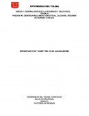 GENERALIDADES DE LA SEGURIDAD Y SALUD EN EL TRABAJO