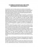 EL DOMINIO DE ORGANIZACION