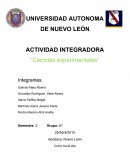 Integradora Experimentales