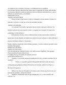 Carta responsiva