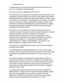 Investigacion cientifica 1