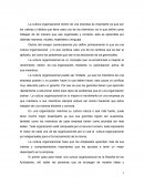 La cultura organizacional dentro de una empresa es importante ya que son los valores y hábitos