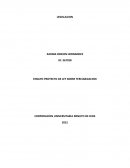 ENSAYO PROYECTO DE LEY DE SOBRE TERCERIZACION