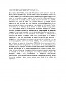 DEMANDA DE NULIDAD DE MATRIMONIO CIVIL