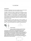 El capacitor