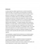 Informe sobre bioenergetica y fermentacion