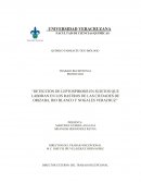 Leptospirosis: Análisis de la zoonosis, etiología, transmisión y distribución mundial