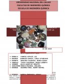 LABORATORIO DE INGENIERIA QUIMICA II