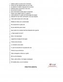 La ciudad y los perros