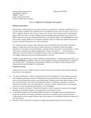 Tarea 3: Análisis del caso Boutique Extravaganzza