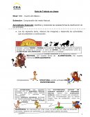 Guía de Trabajo en clases Aprendizaje Esperado: Identificar y comprender las variadas formas de clasificación de los animales