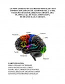 LA POPULARIDAD EN LAS REDES SOCIALES Y SUS CONSECUENCIAS EN LOS ALUMNOS DEL 3° C DEL COLEGIO DE BACHILLERES DE TABASCO, DEL PLANTEL #40, DE VILLA CHONTALPA, HUIMANGUILLO, TABASCO