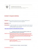 Actividad 5: Integrales Indefinidas