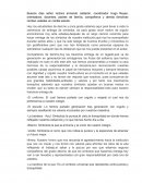 Cruce banderas 10 y 11