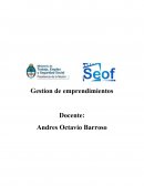Gestion de emprendimientos