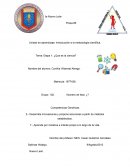 Etapa 1: ¿Que es la ciencia?