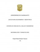 DIVISIÓN DE CIENCIAS DE LA SALUD E INGENIERIAS MICROBIOLOGÍA Y PARASITOLOGÍA