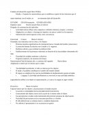 ESTADIOS SEGÚN WALLOW