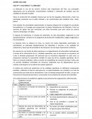 Caso N º 1: Caso Minera “ La Alborada”