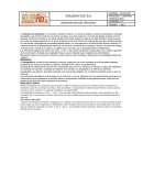 CONTROL PRODUCCION GOLDEN FLEX S.A