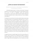 ¿Cómo se mueven las bacterias?