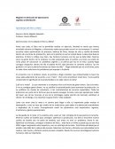 Lecciones Libro La Meta