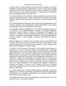 FACTIBILIDAD