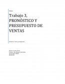 Trbajo costos y presupuestos