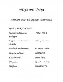 Modelo de hoja de vida