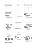 Comportamiento individual personalidad: El comportamiento individual estudia al ser humano en diferentes formas mediante