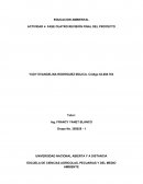 EDUCACION AMBIENTAL ACTIVIDAD 4. FASE CUATRO REVISIÓN FINAL DEL PROYECTO